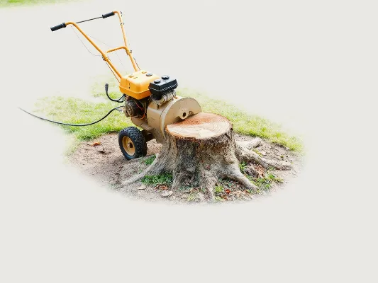 Stump Grinding Service